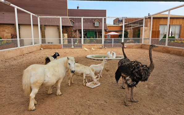 هتل گلدن پالاس مشهد
