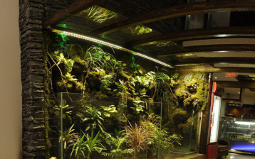 هتل آپارتمان قصر آیدین مشهد