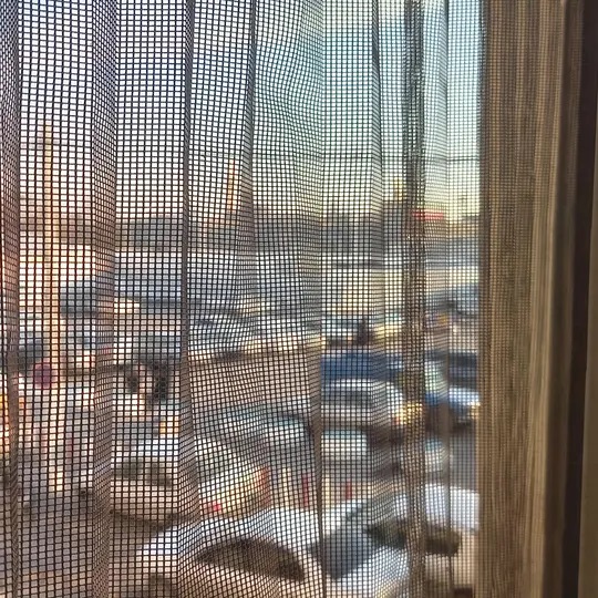 مهمانپذیر هجرت مشهد